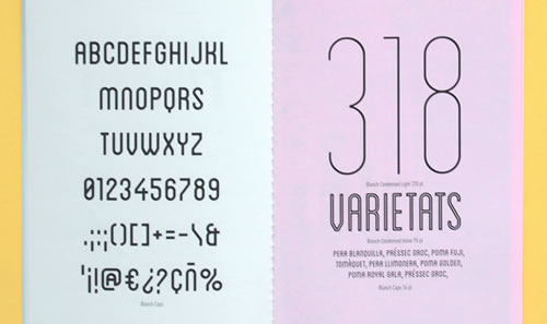 Blanch - free font Blanch - free font perfect for contemporary vow renewal invitations